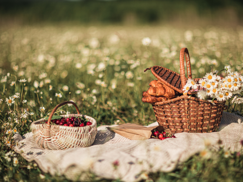 A picnic with cherries and pastries in baskets in a field of daisies in the sunshine